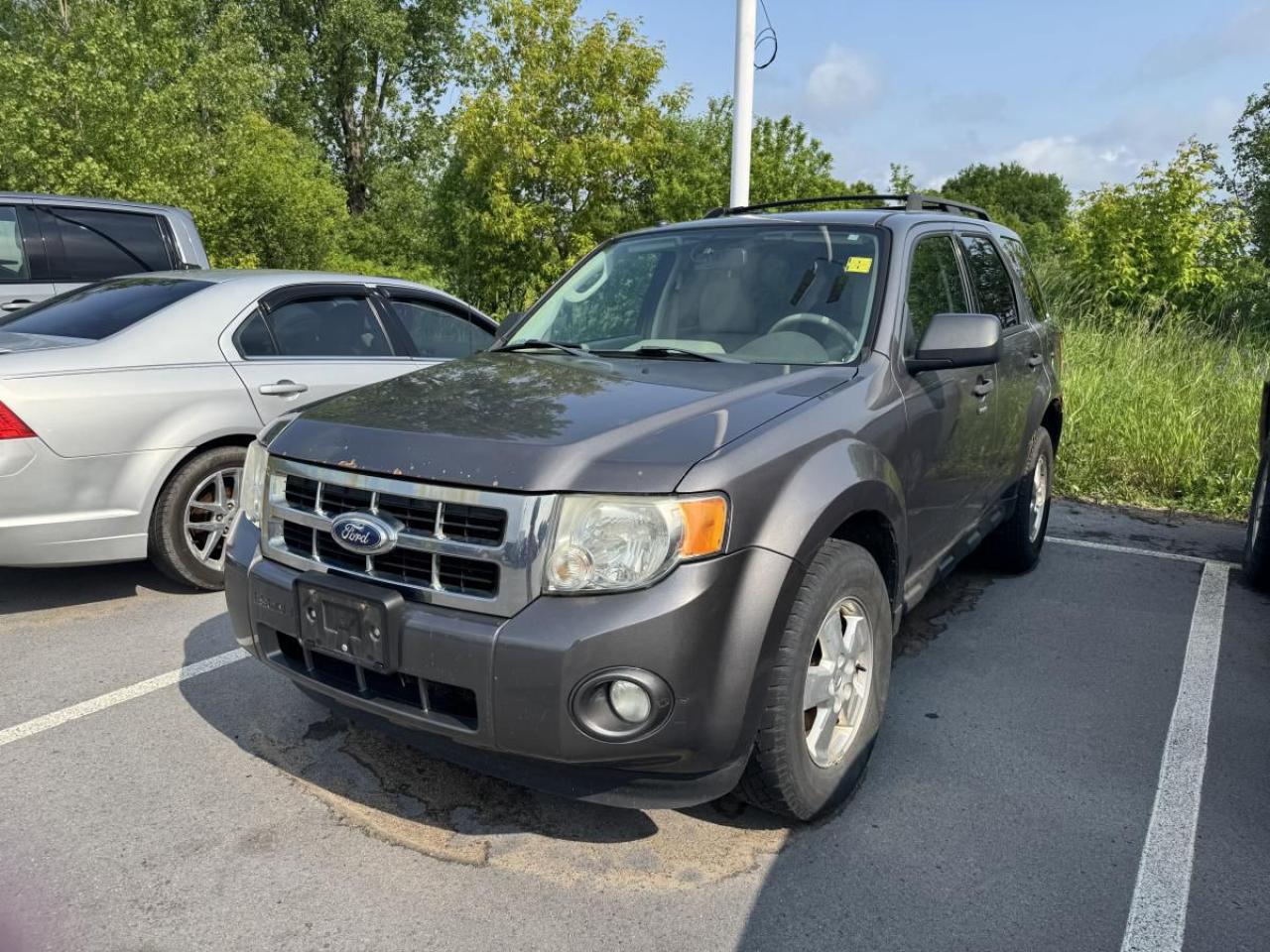 Used 2011 Ford Escape XLT for sale in Kingston, ON