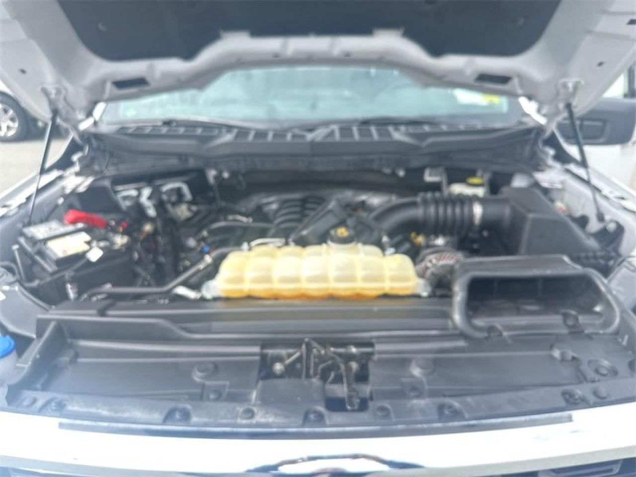 2021 Ford F-150 XLT Photo5