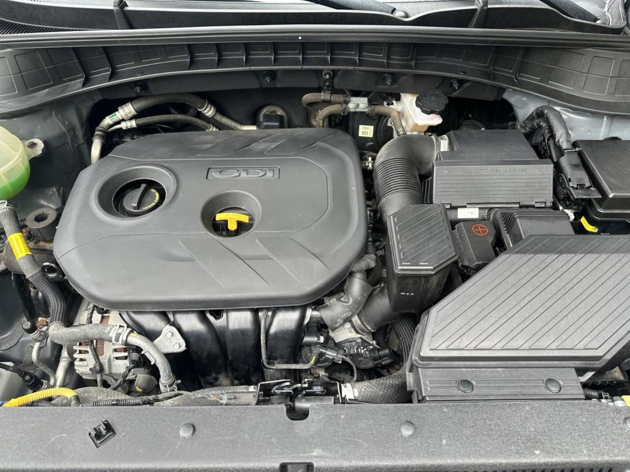 12541613