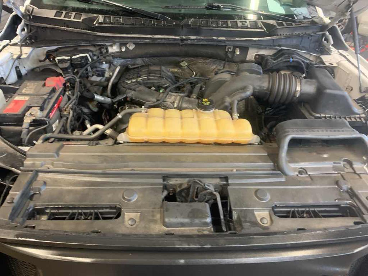 12542390
