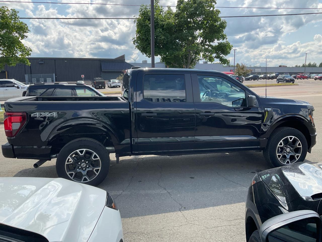 2025 Ford F-150 STX Photo4