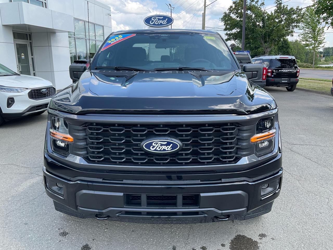 2025 Ford F-150 STX Photo1