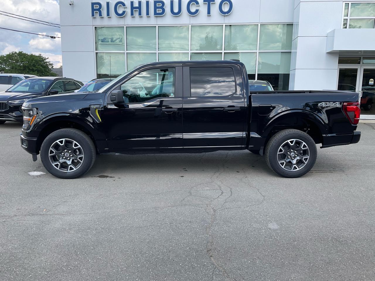 2025 Ford F-150 STX Photo3
