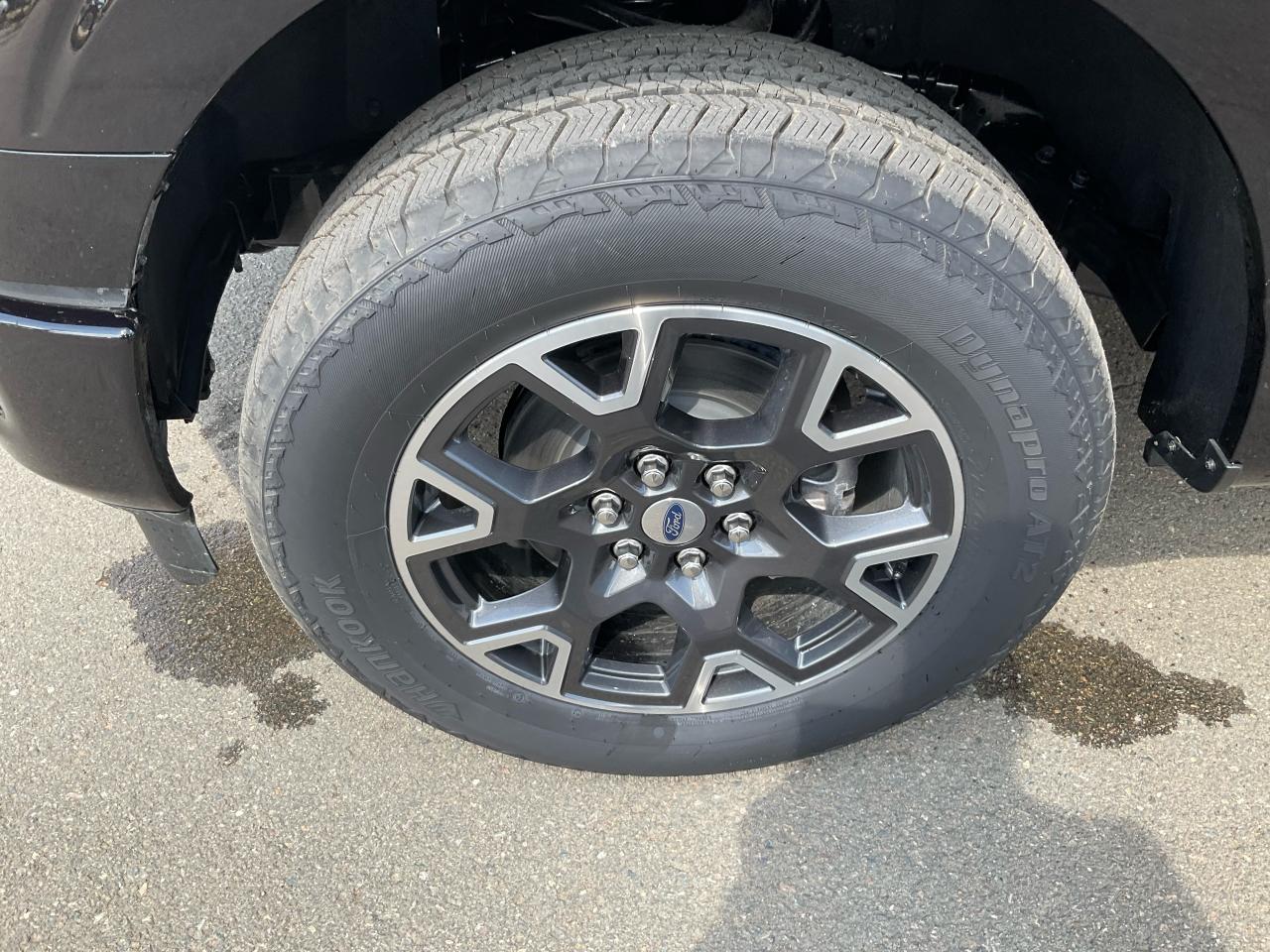 2025 Ford F-150 STX Photo5