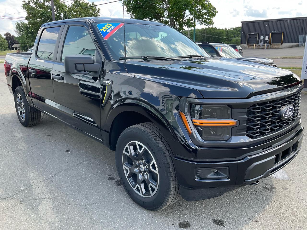 2025 Ford F-150 STX Photo2