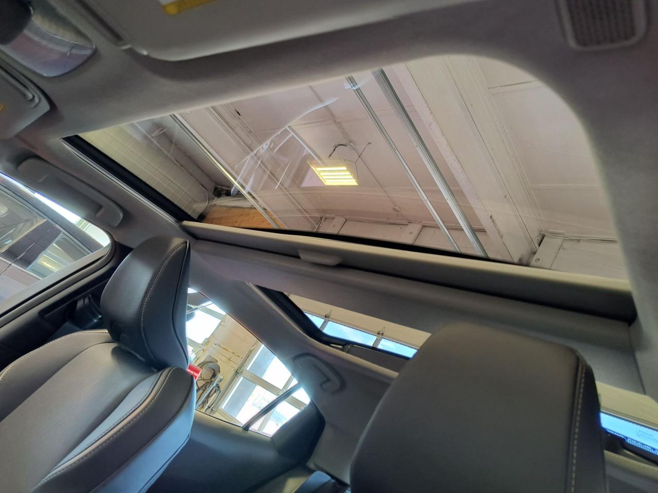 2023 Toyota Prius Limited Photo