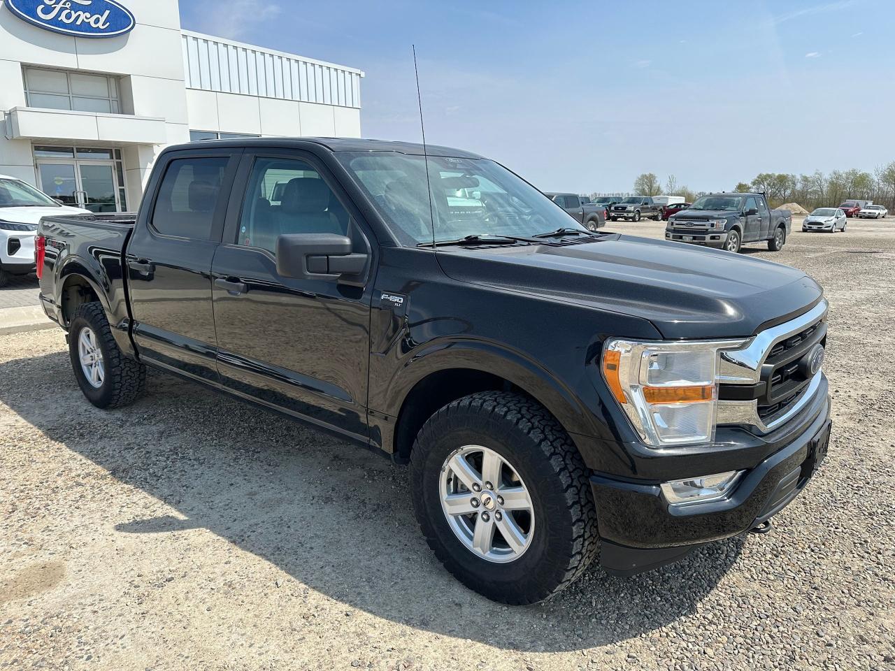 2021 Ford F-150 XLT Photo5