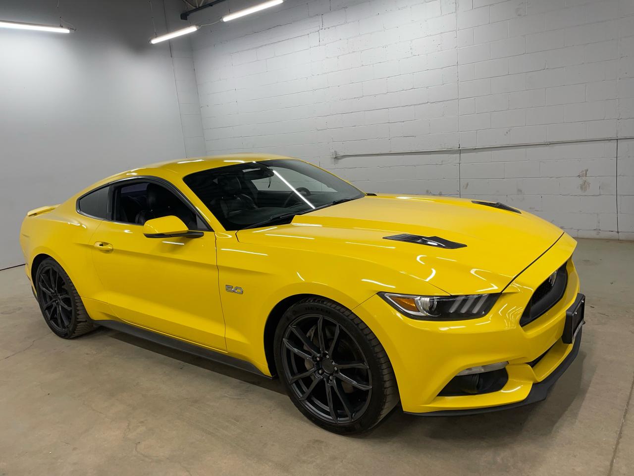 Used 2015 Ford Mustang GT Premium for sale in Guelph, ON