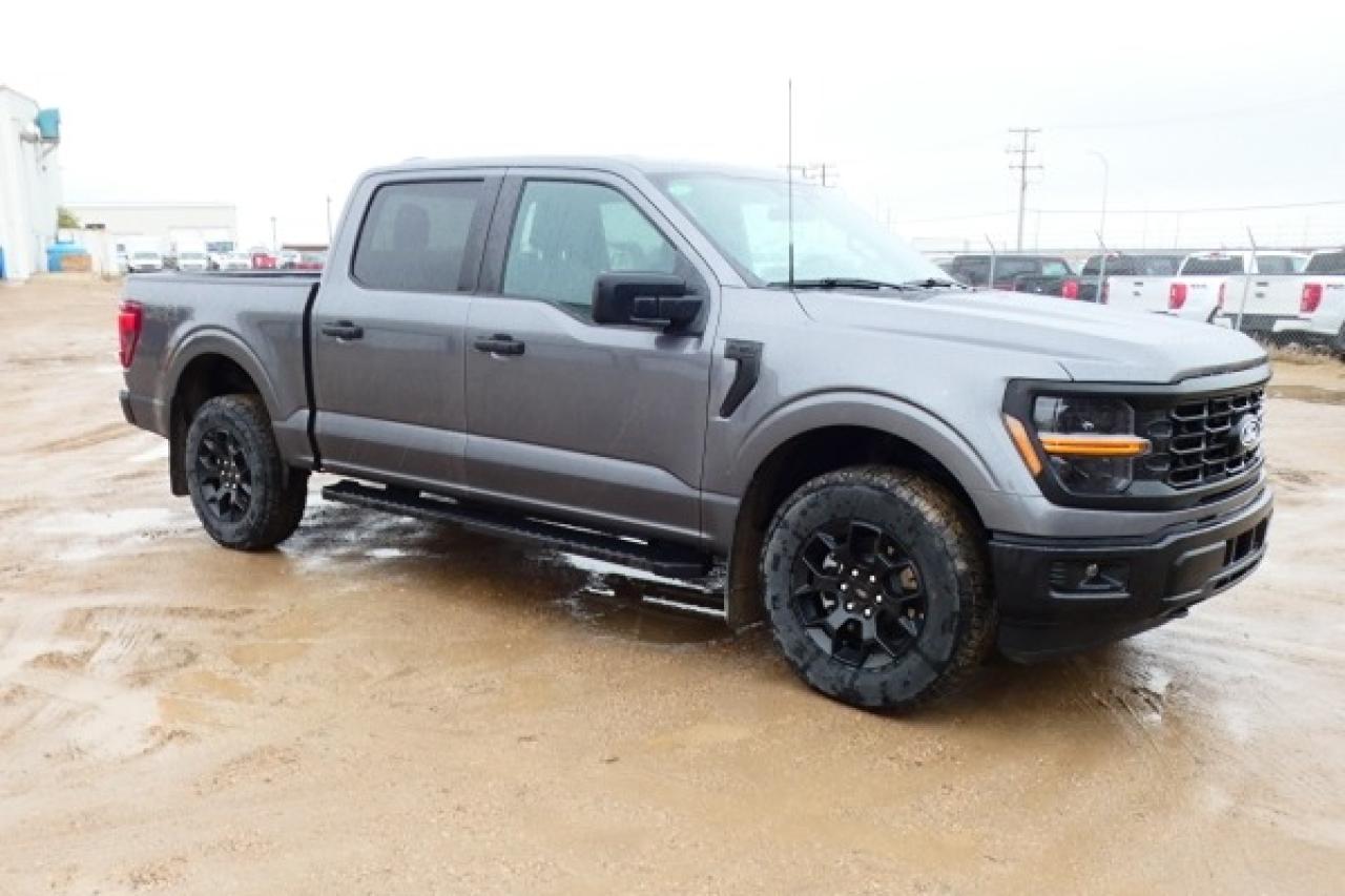 2024 Ford F-150 STX 4WD SuperCrew 5.5' Box w/cloth, NAV, BUC - Photo #4