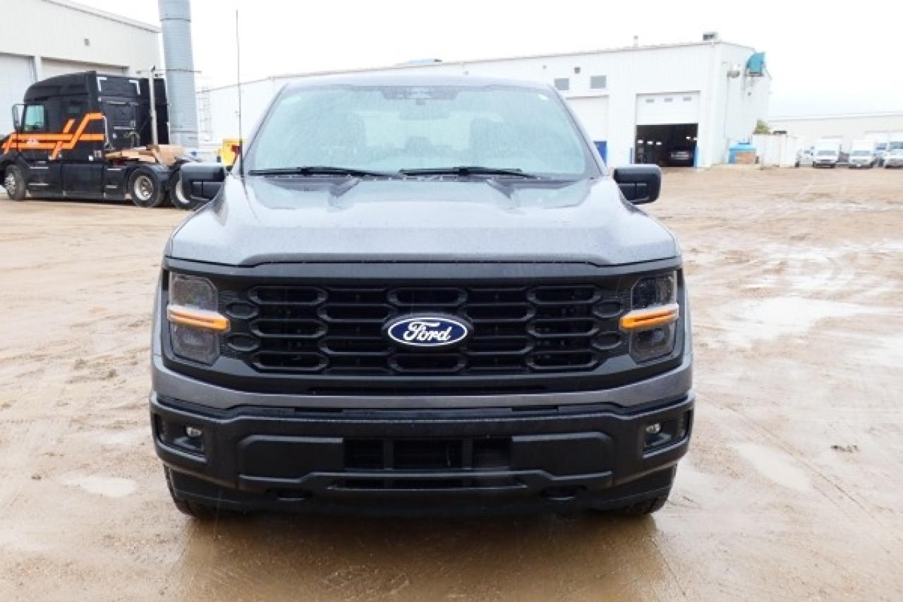 2024 Ford F-150 STX 4WD SuperCrew 5.5' Box w/cloth, NAV, BUC - Photo #3