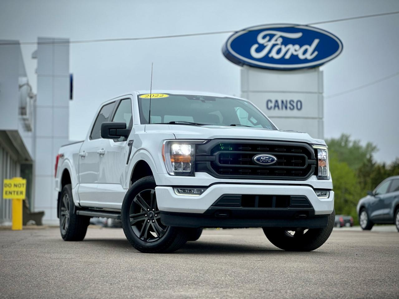 Used 2022 Ford F-150 SUPERCREW for sale in Port Hawkesbury, NS