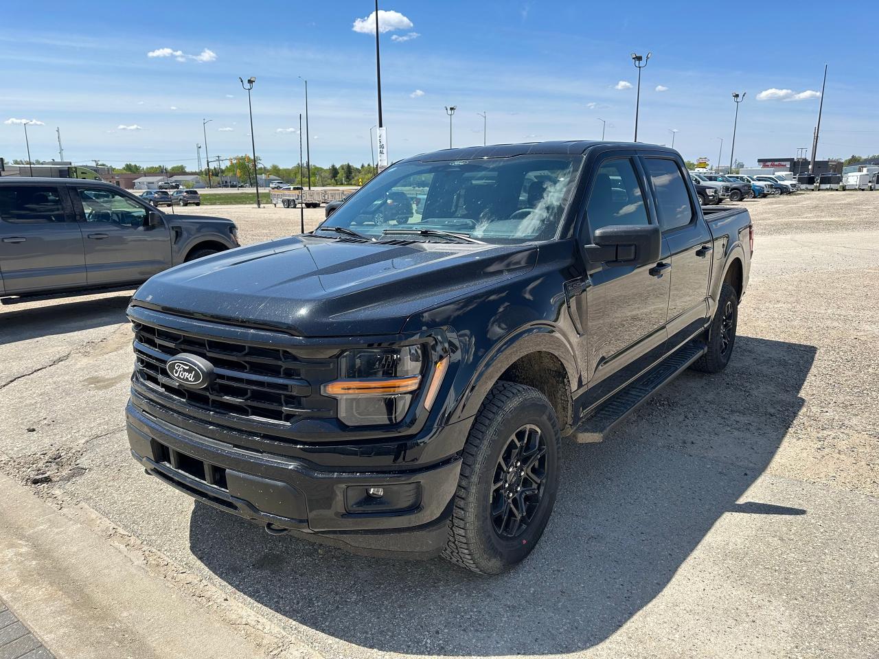 New 2025 Ford F-150 XLT 4WD SuperCrew 5.5' Box for sale in Elie, MB