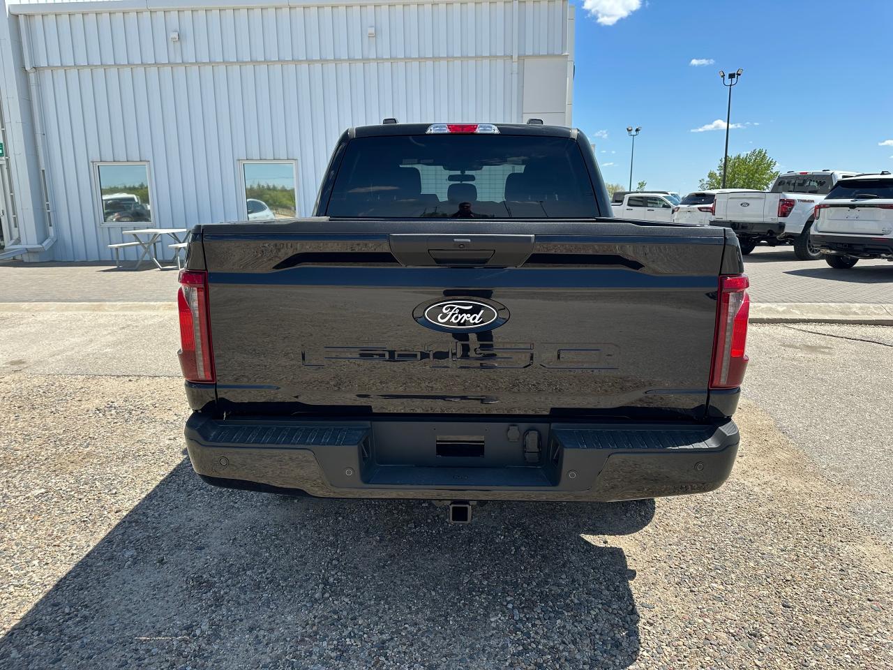 2025 Ford F-150 XLT 4WD SuperCrew 5.5' Box Photo