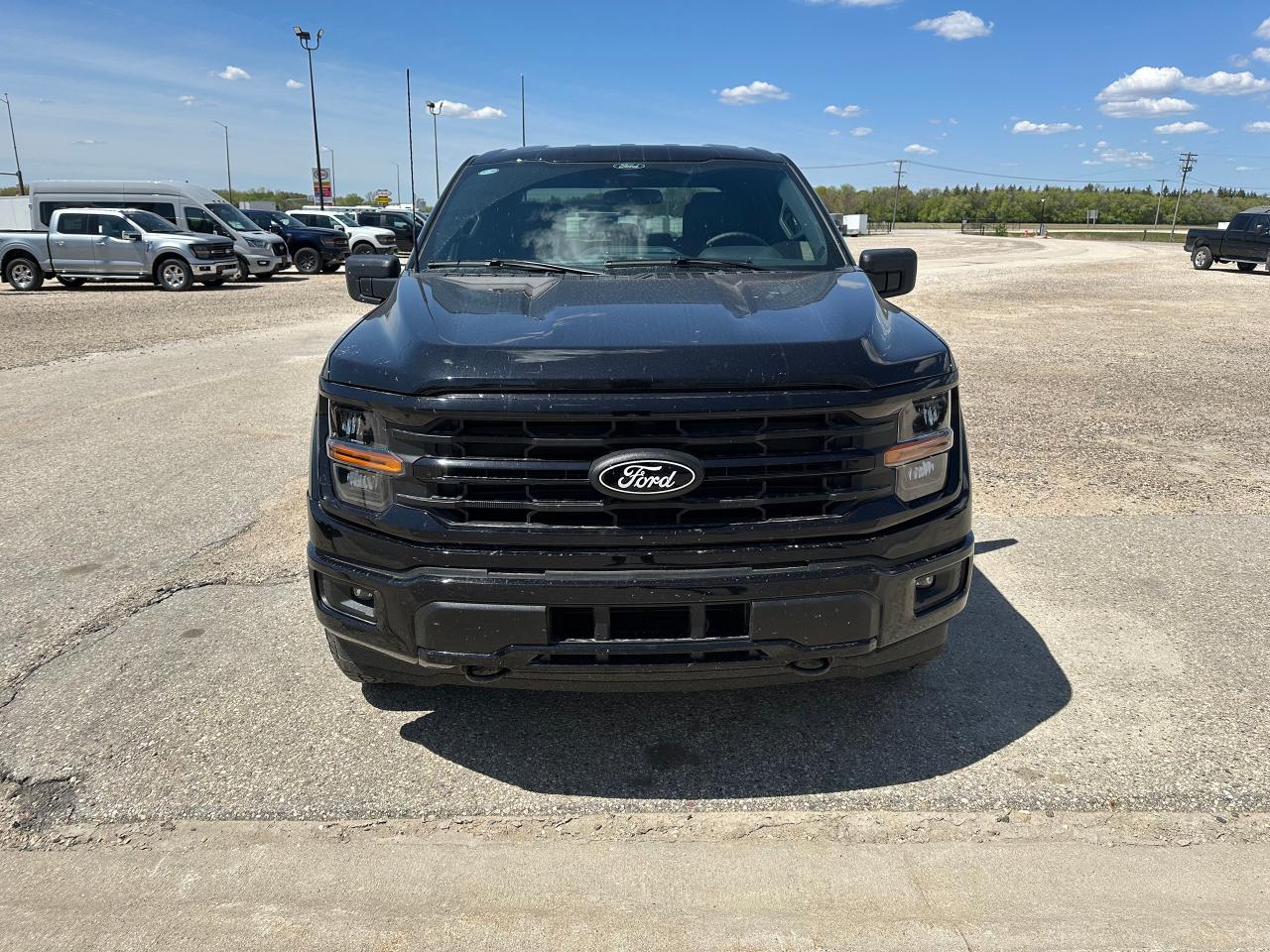 2025 Ford F-150 XLT 4WD SuperCrew 5.5' Box Photo5