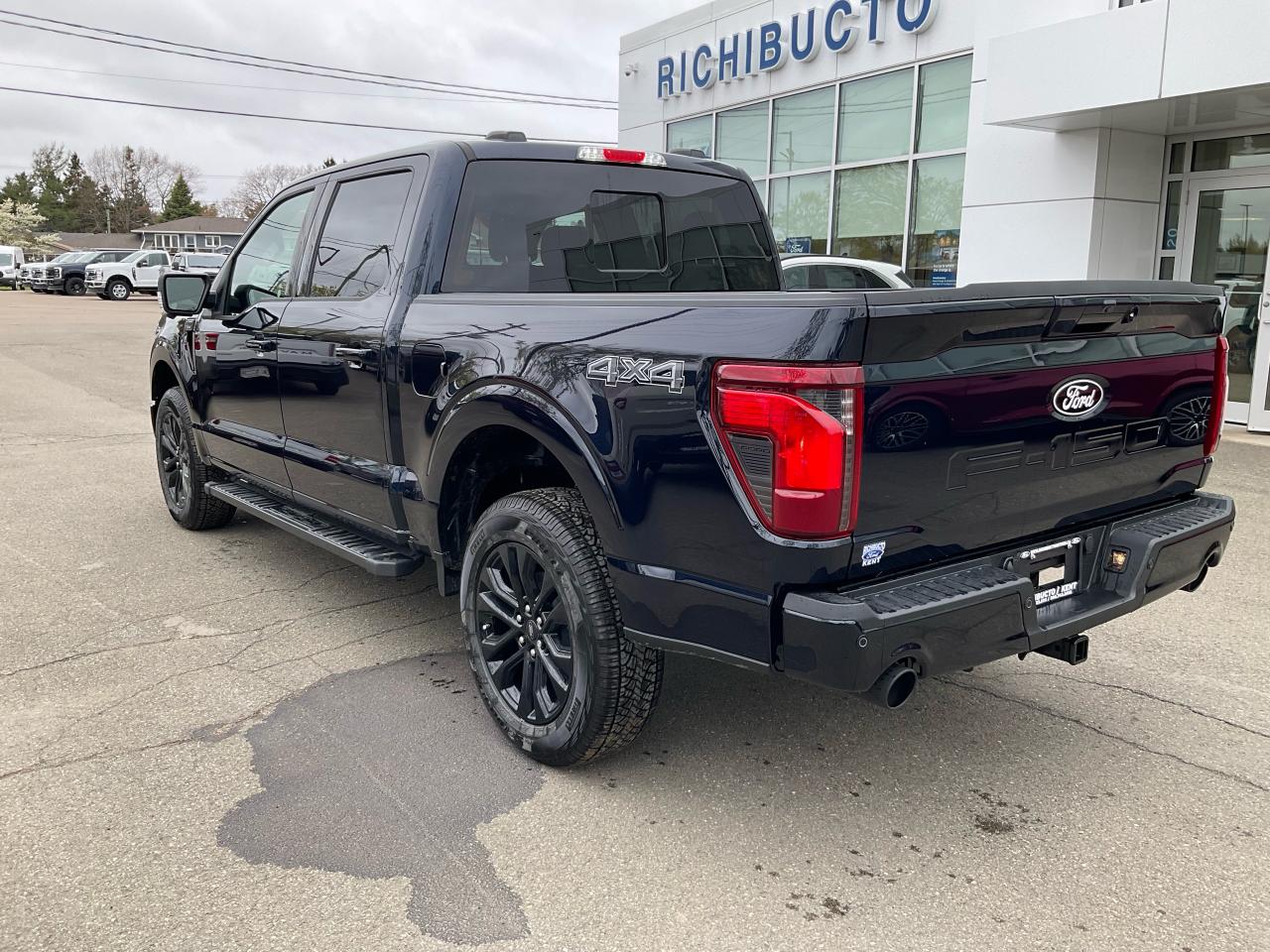 2025 Ford F-150 XLT Photo3