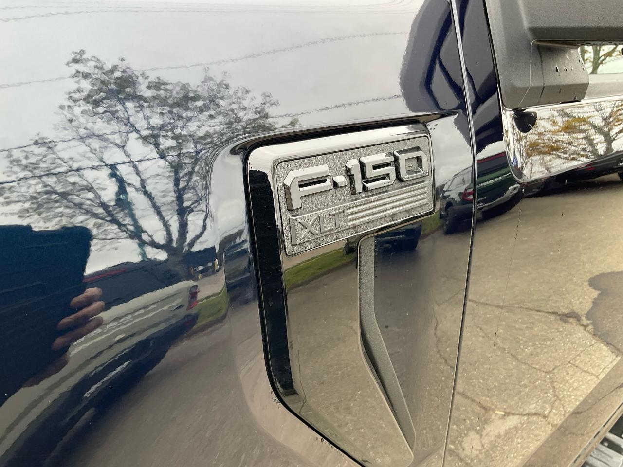 2025 Ford F-150 XLT Photo5