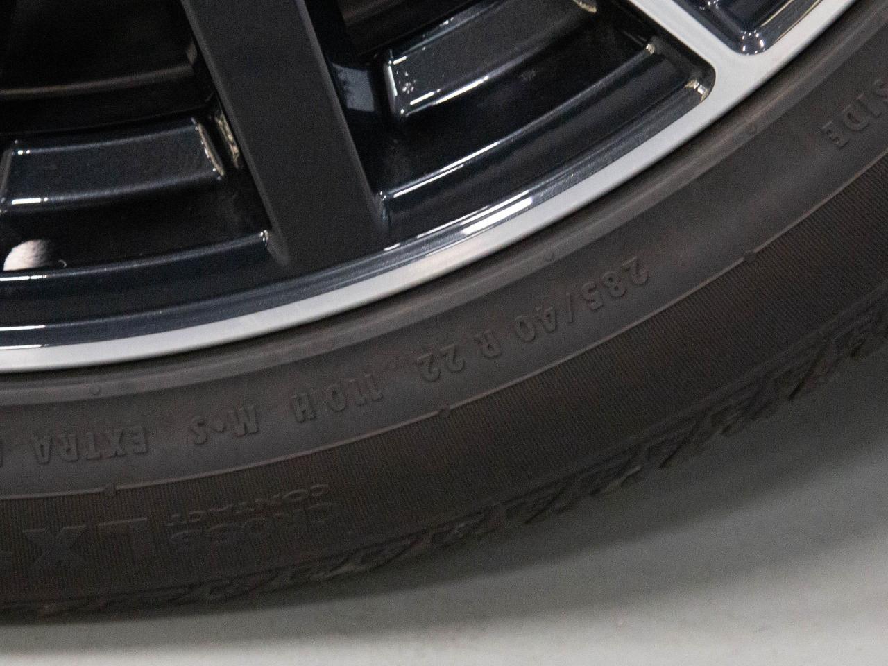 12544022