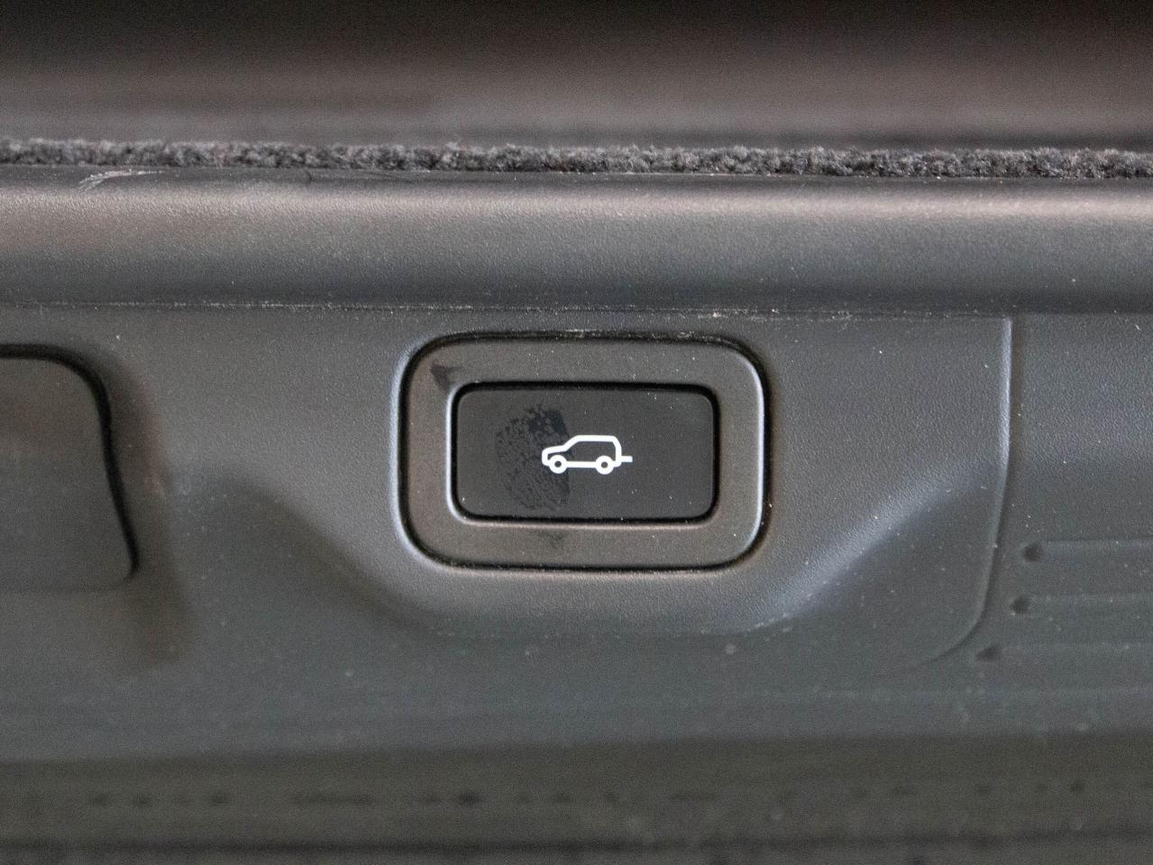 12544034