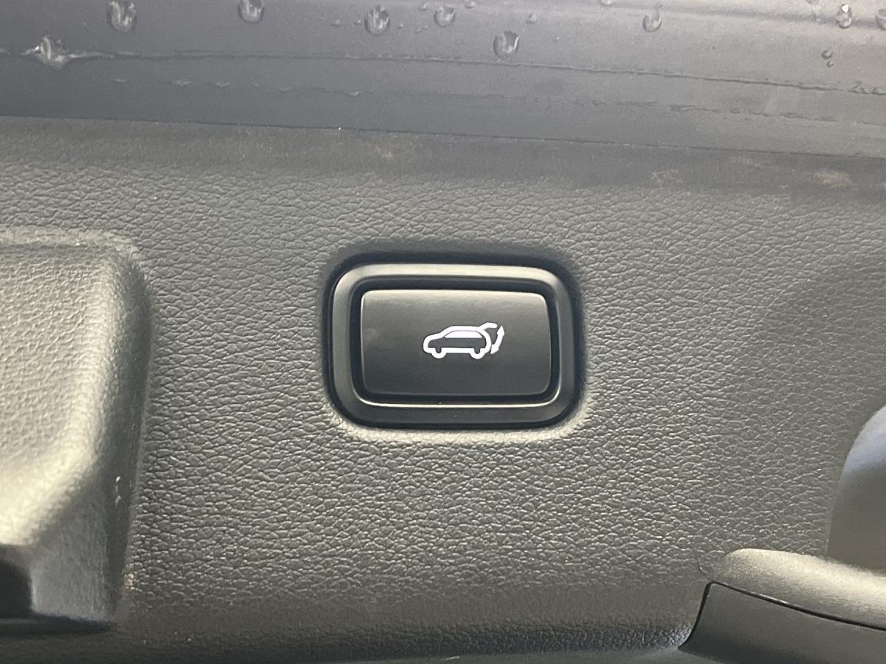 2023 Kia Sportage X-LINE LIMITED AWD | COOLED LEATHER | PANO ROOF Photo