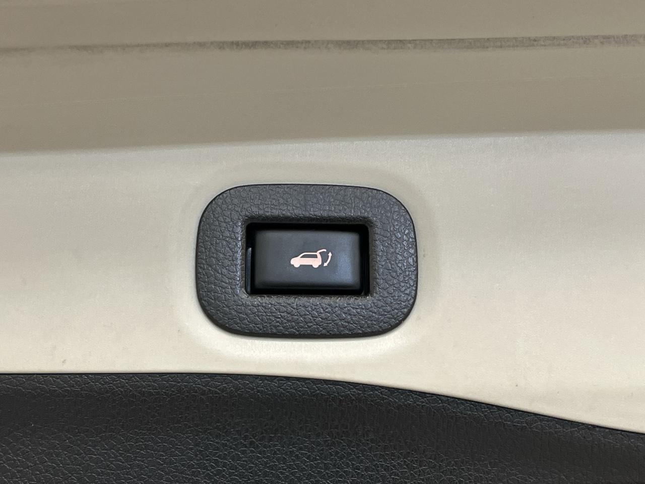 12544097