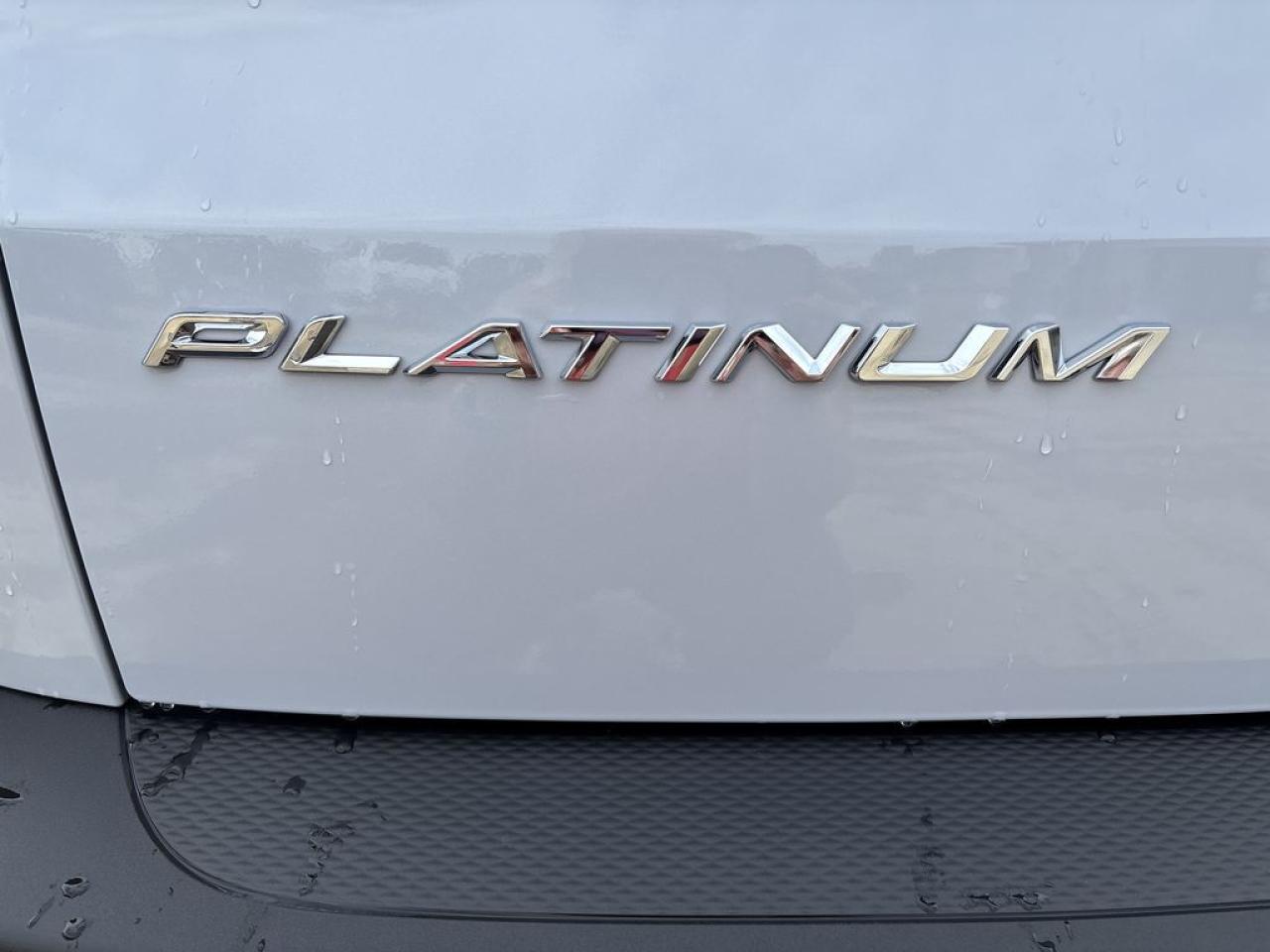 2025 Ford Escape Platinum 601A Photo5