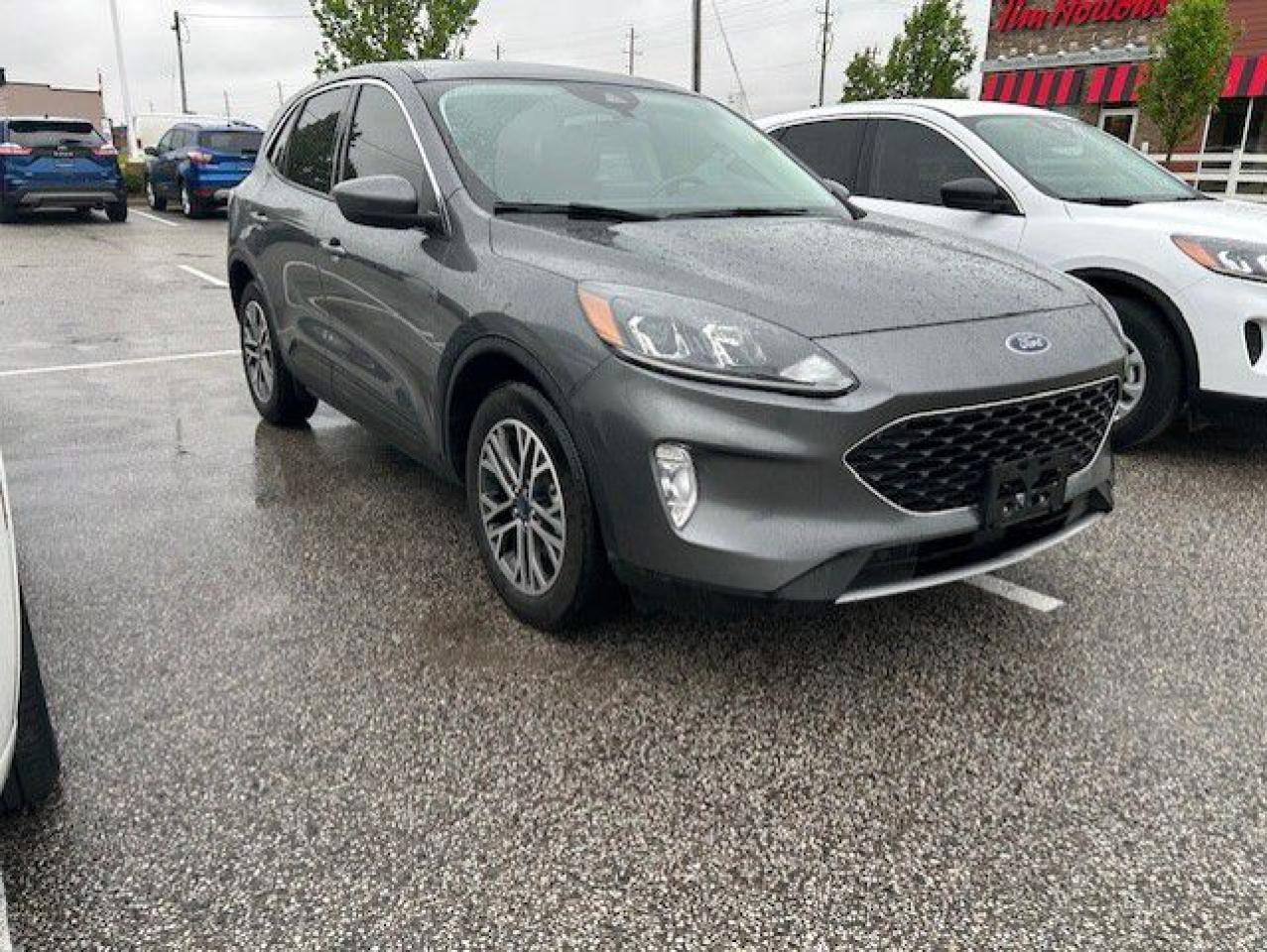 Used 2022 Ford Escape SEL AWD for sale in Watford, ON