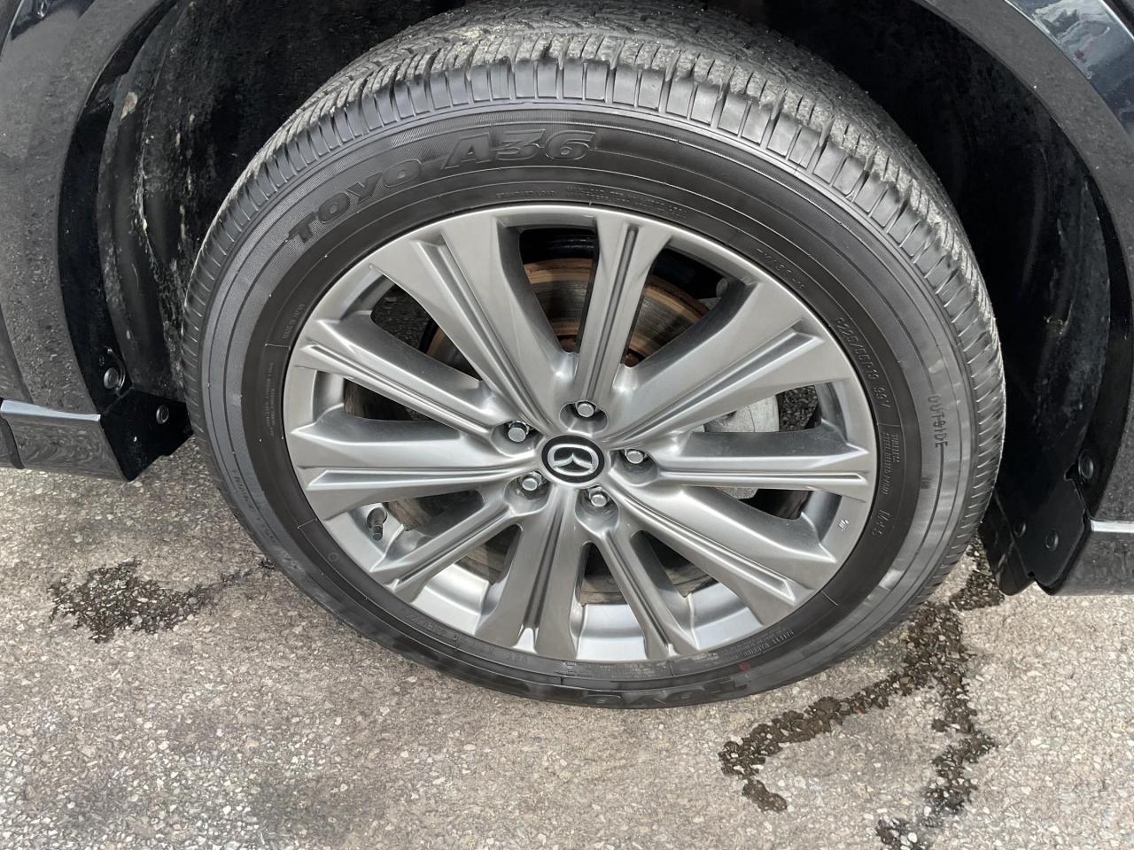 12545573