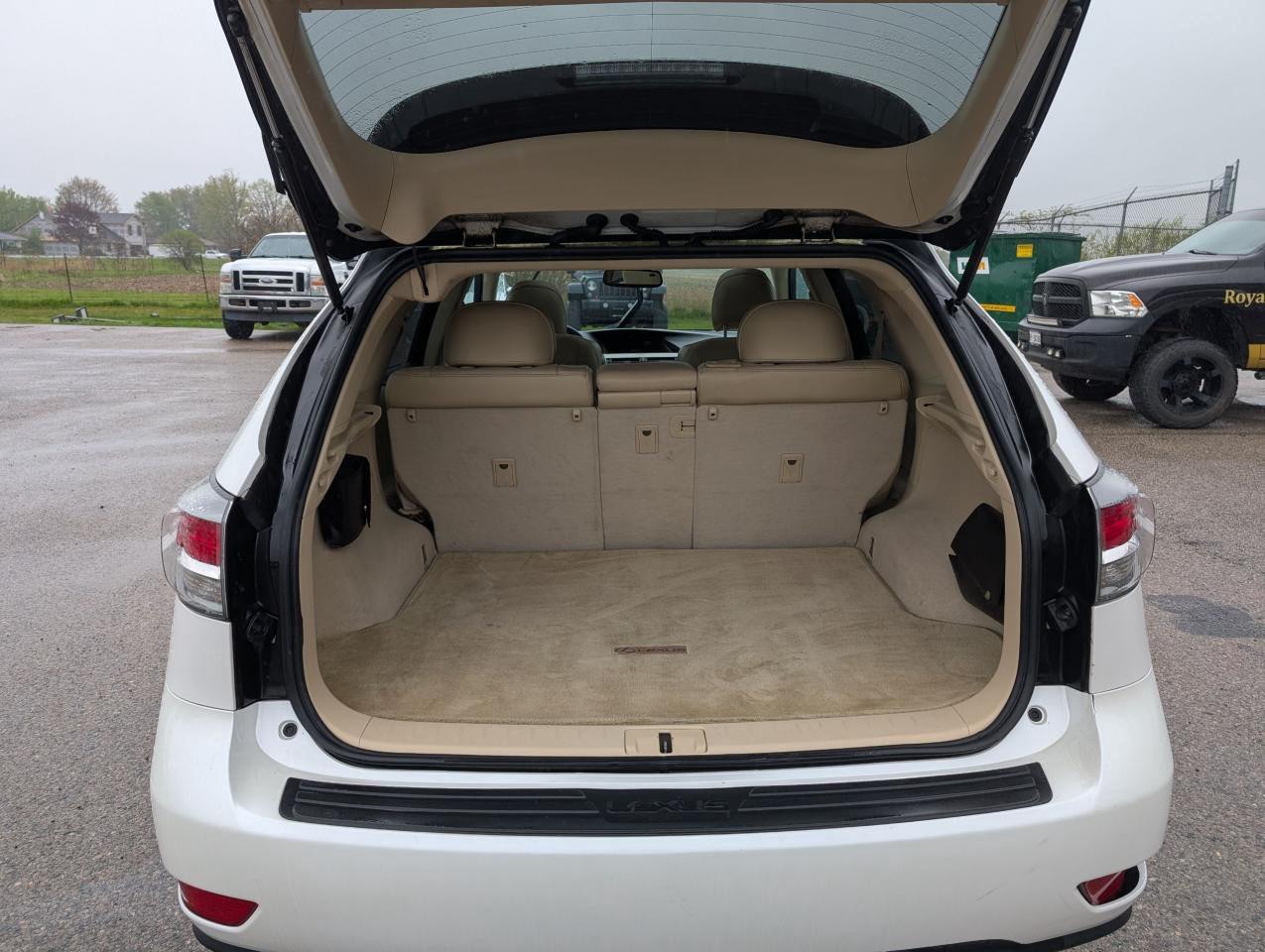 2015 Lexus RX 350 Sportdesign Photo