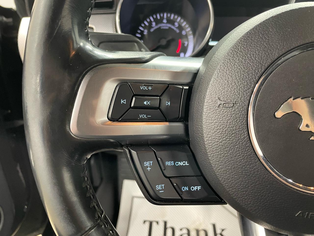 2018 Ford Mustang GT Photo13