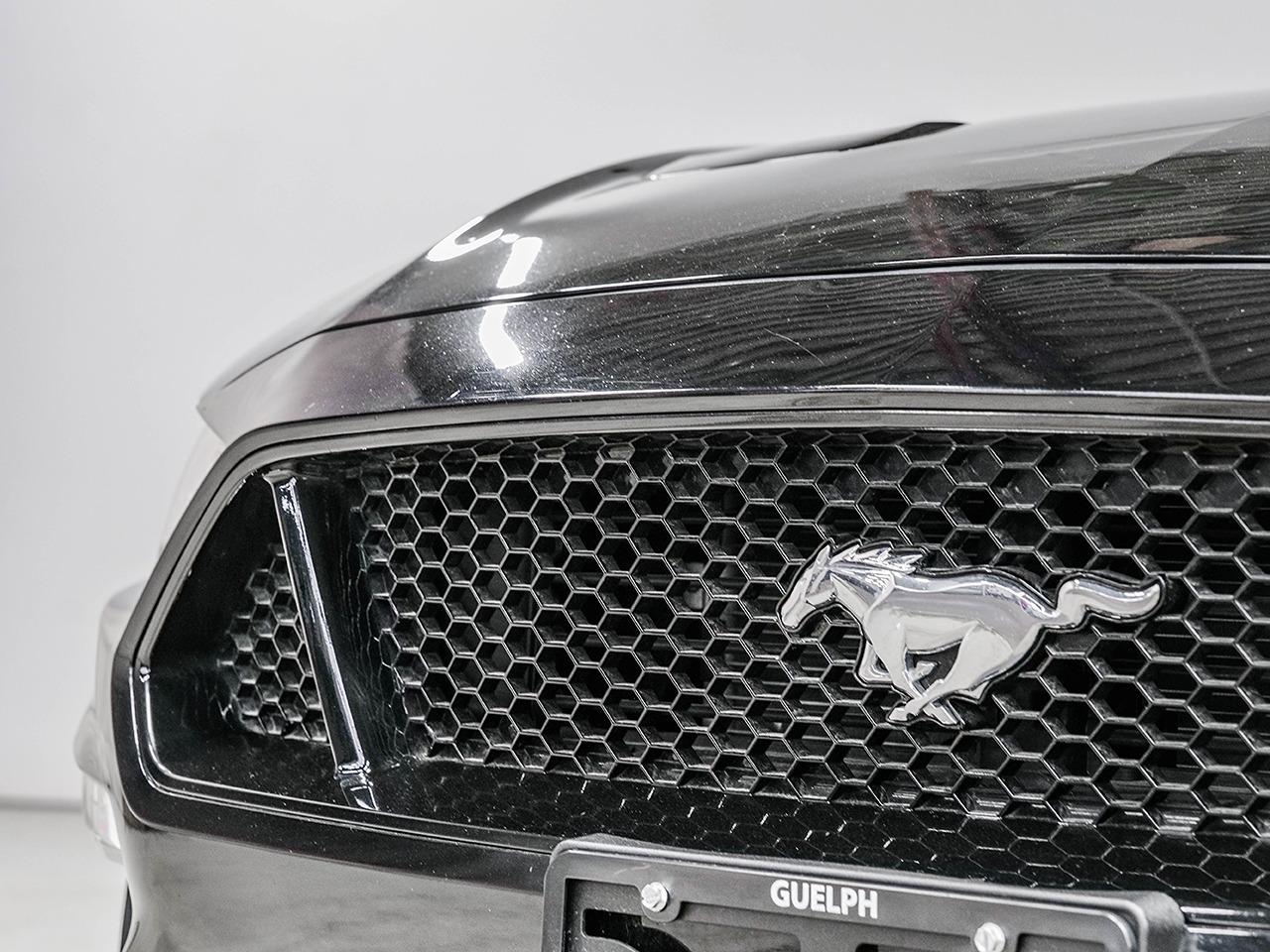 2018 Ford Mustang GT | MANUAL | 460 HP | PREMIUM SOUND SYSTEM Photo