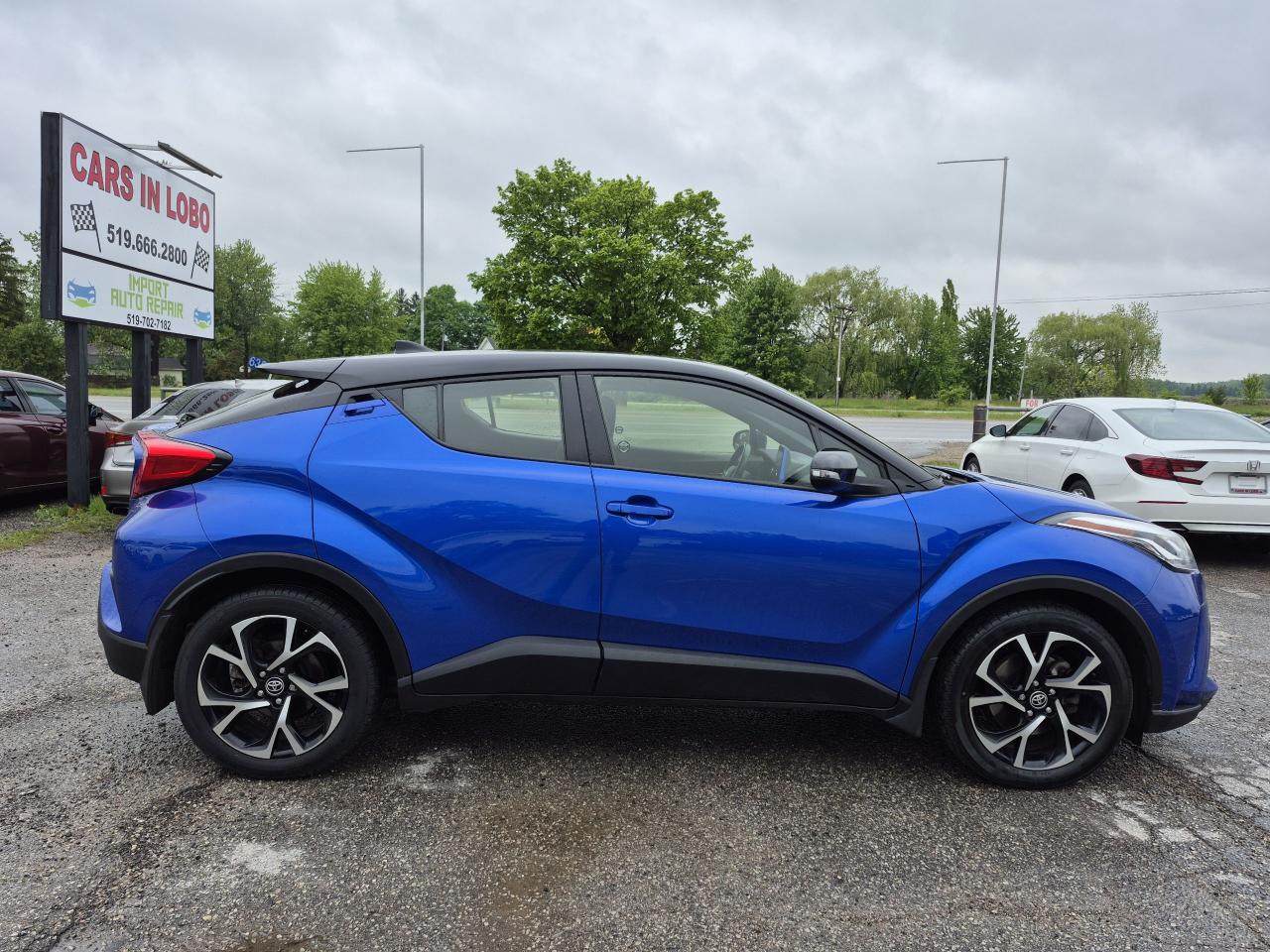 2021 Toyota C-HR XLE Premium Photo2
