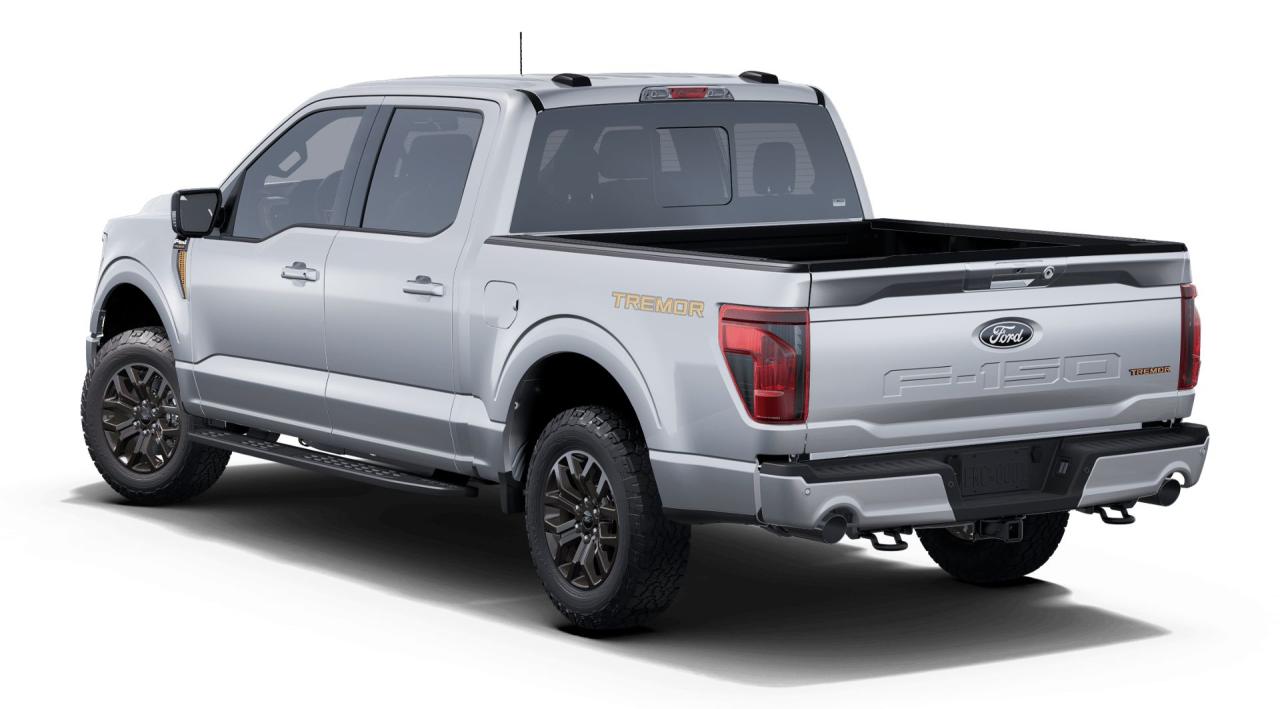 2025 Ford F-150 Tremor 4WD SuperCrew 5.5' Box Photo