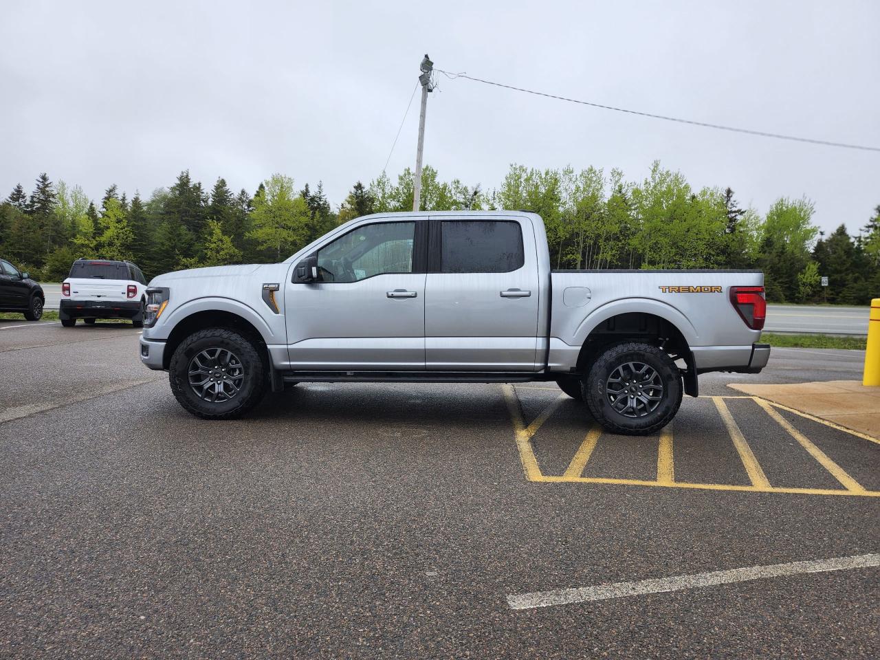 2025 Ford F-150 Tremor 4WD SuperCrew 5.5' Box Photo5