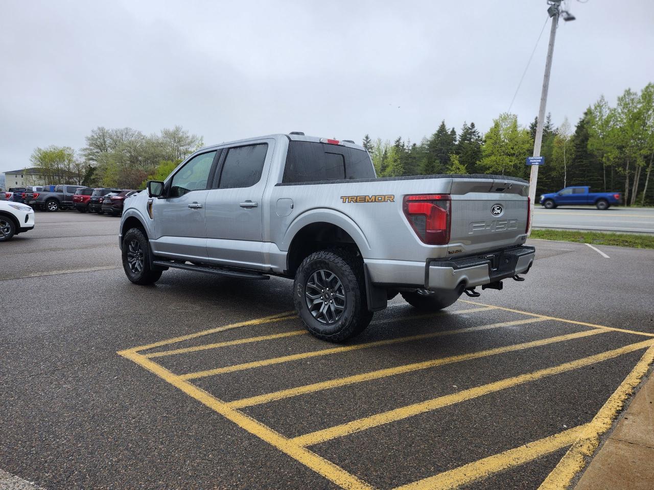 2025 Ford F-150 Tremor 4WD SuperCrew 5.5' Box Photo5