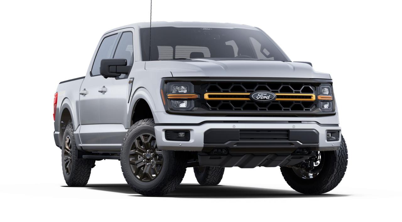 2025 Ford F-150 Tremor 4WD SuperCrew 5.5' Box Photo3