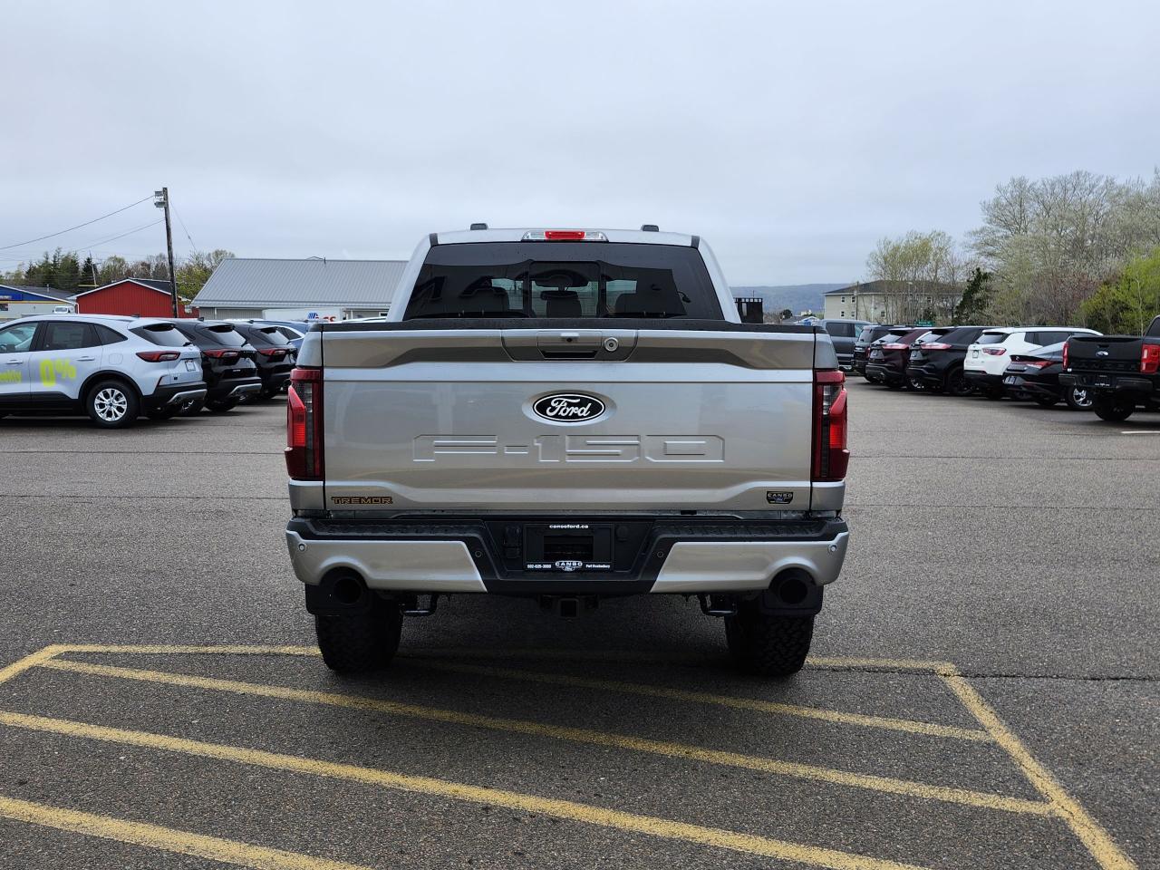 2025 Ford F-150 Tremor 4WD SuperCrew 5.5' Box Photo5