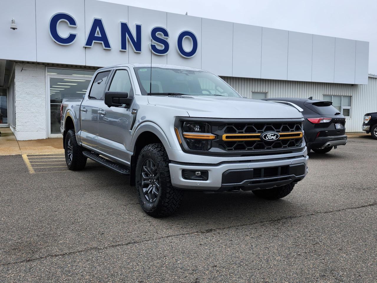2025 Ford F-150 Tremor 4WD SuperCrew 5.5' Box Photo