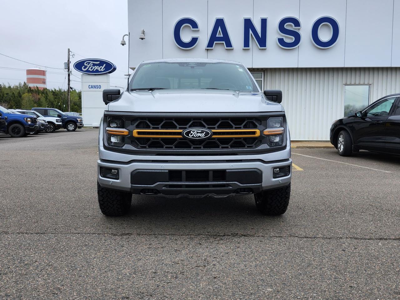 2025 Ford F-150 Tremor 4WD SuperCrew 5.5' Box Photo