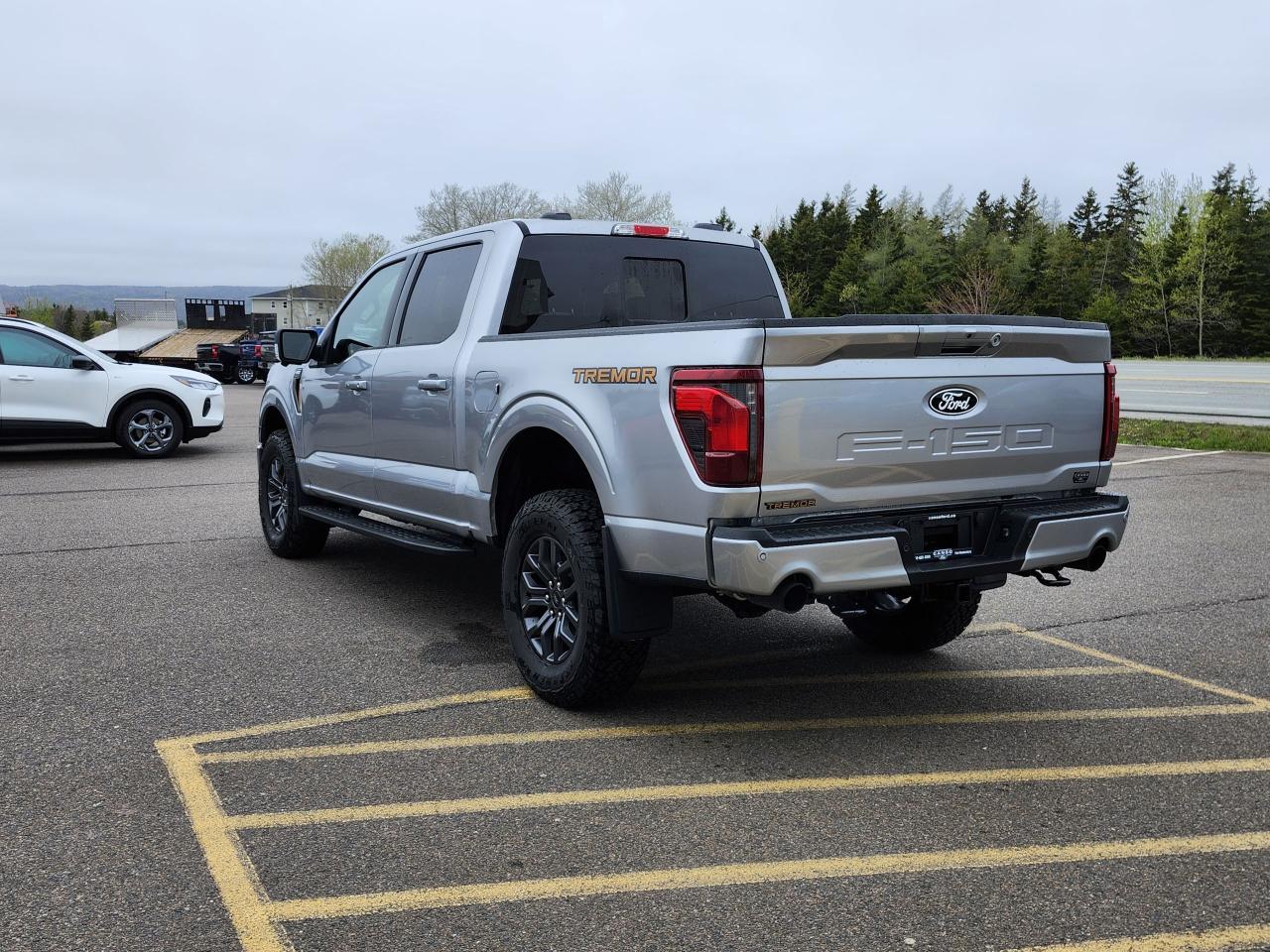 2025 Ford F-150 Tremor 4WD SuperCrew 5.5' Box Photo5