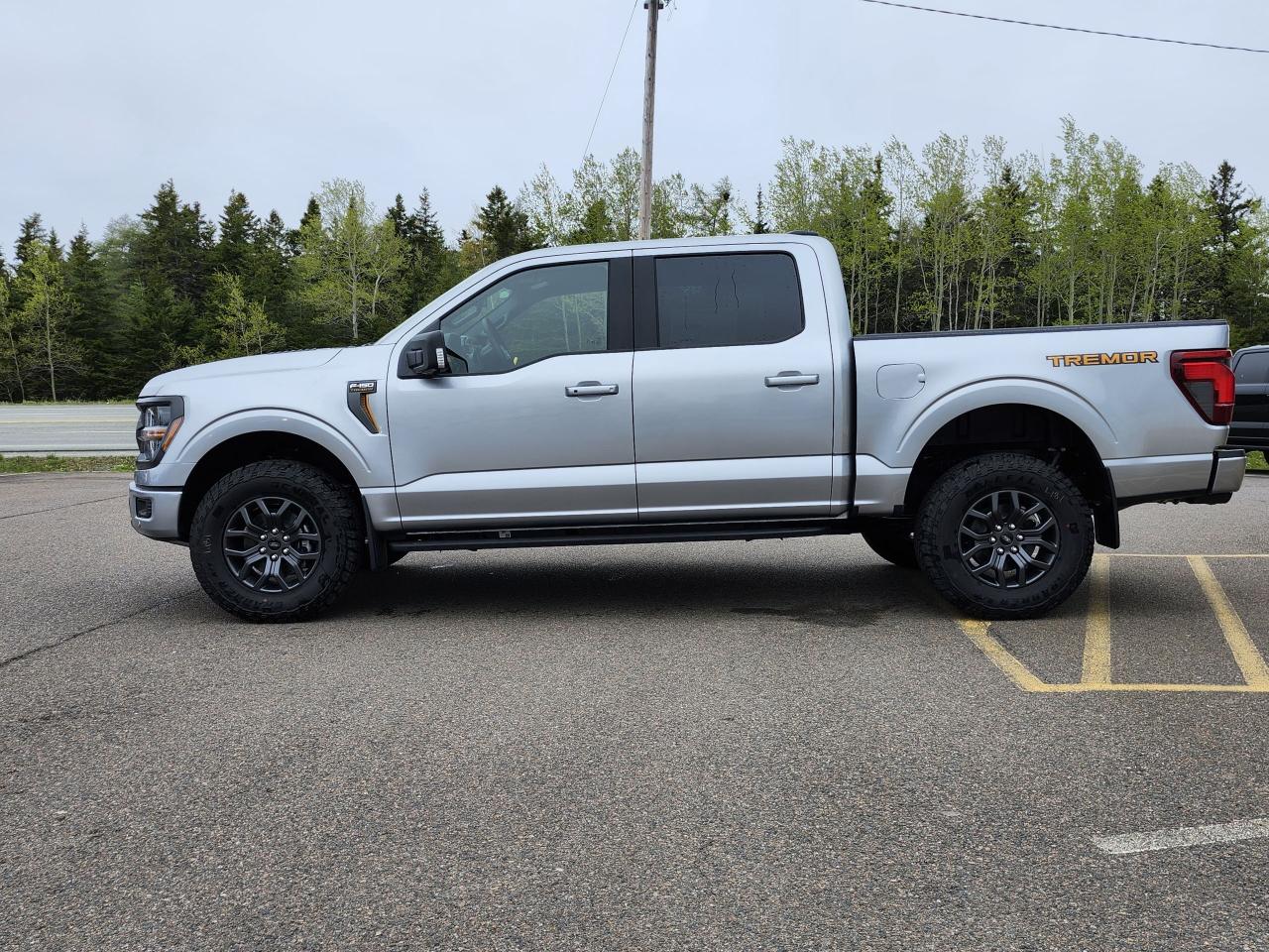 2025 Ford F-150 Tremor 4WD SuperCrew 5.5' Box Photo5