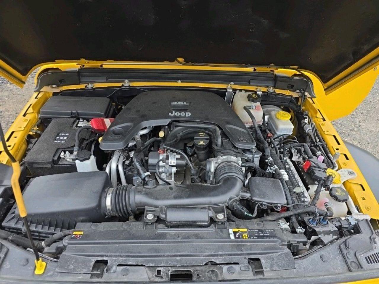 12546902