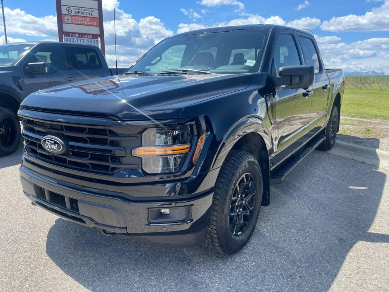 New 2025 Ford F-150 XLT for sale in Pincher Creek, AB