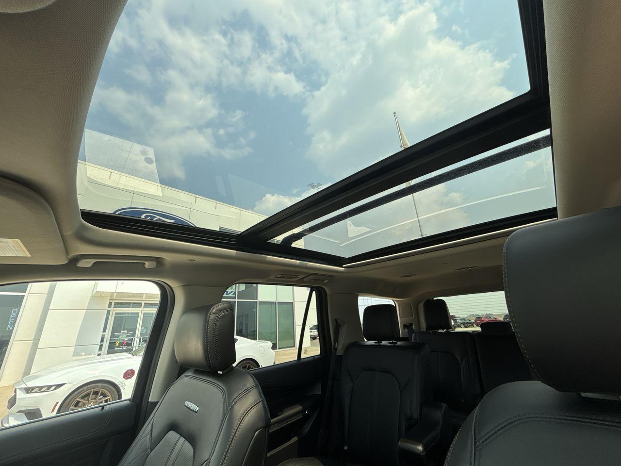 2021 Ford Expedition Platinum 4x4 Photo5