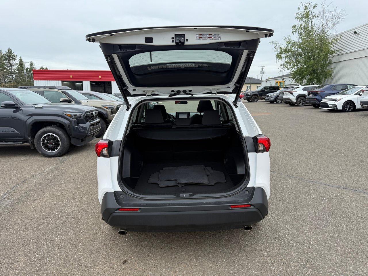 2022 Toyota RAV4 XLE Photo
