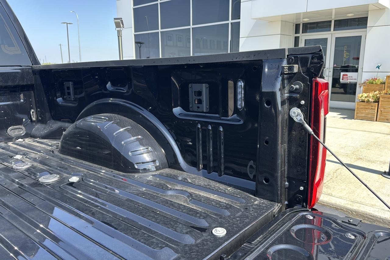 2025 Ford F-350 Super Duty Platinum Photo5