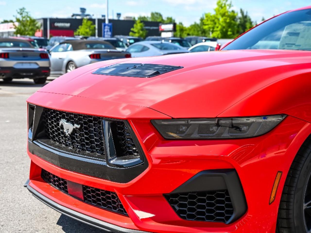 2025 Ford Mustang GT Photo