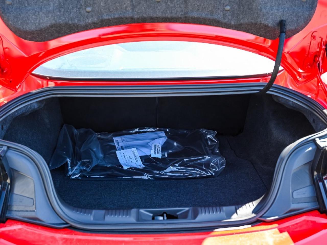 2025 Ford Mustang GT Photo