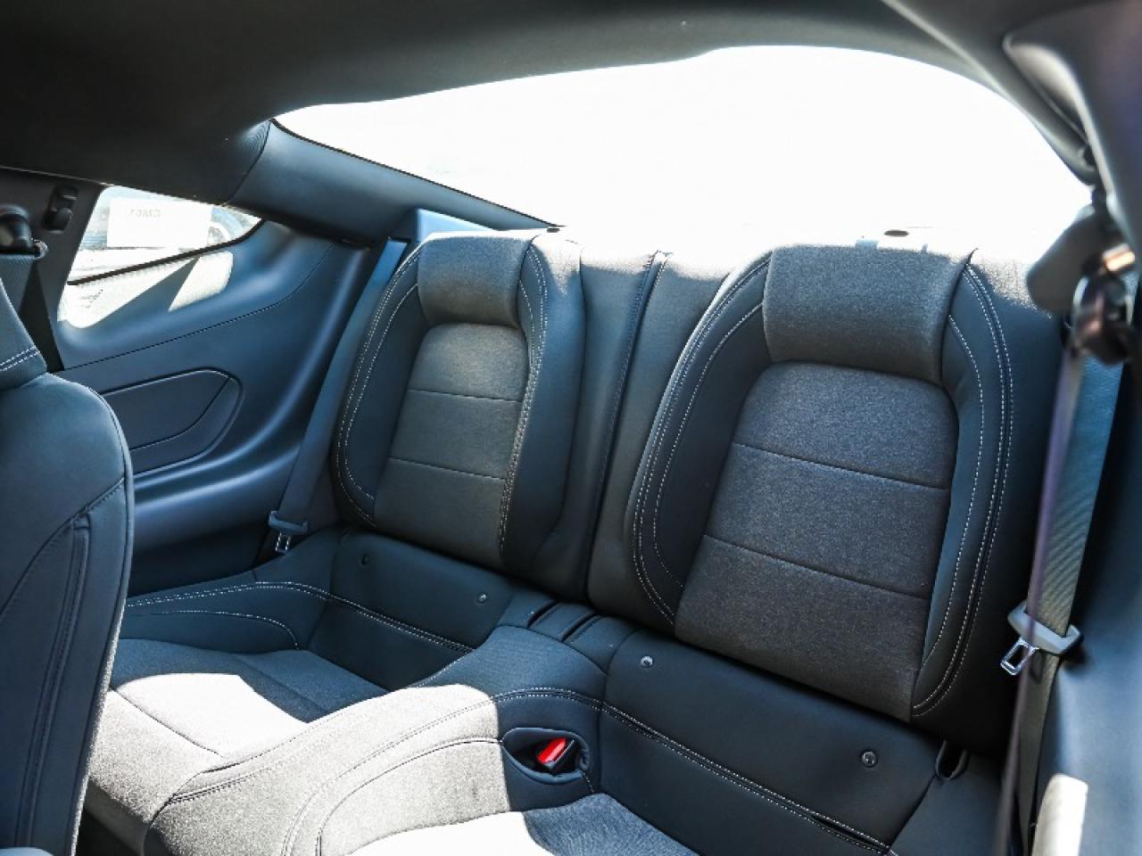 2025 Ford Mustang GT Photo