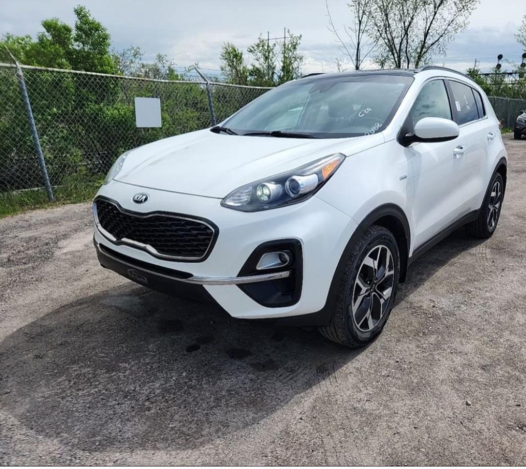 Used 2020 Kia Sportage EX for sale in Kingston, ON