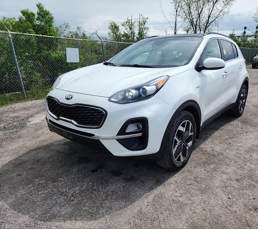 Used 2020 Kia Sportage EX for sale in Kingston, ON